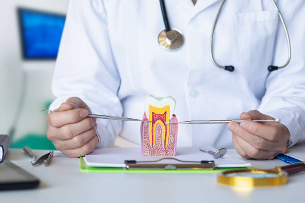 Best Pediatric Emergency Dentist in Vineyard, UT